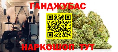 стаф Кингисепп