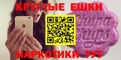 стаф Кингисепп