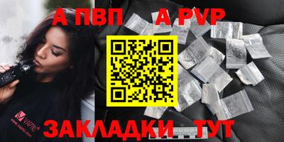 стаф Кингисепп