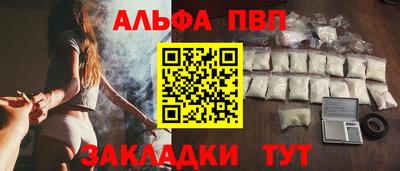 стаф Кингисепп
