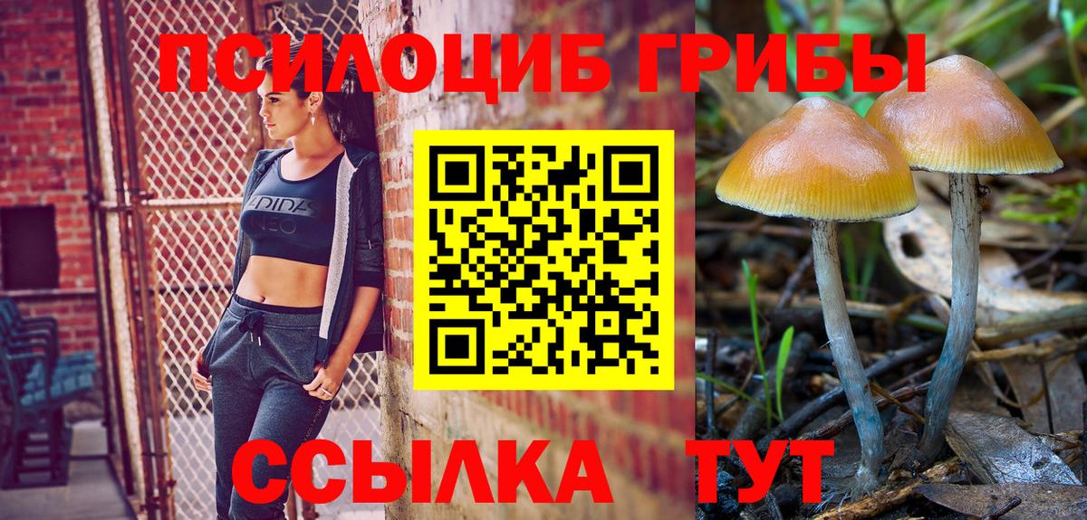 Корсаков  Галлюциногенные грибы ЛСД  Вход с VPN 
