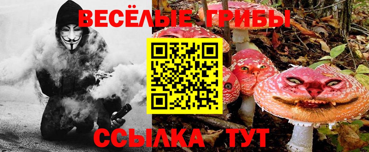Галлюциногенные грибы Cubensis Корсаков